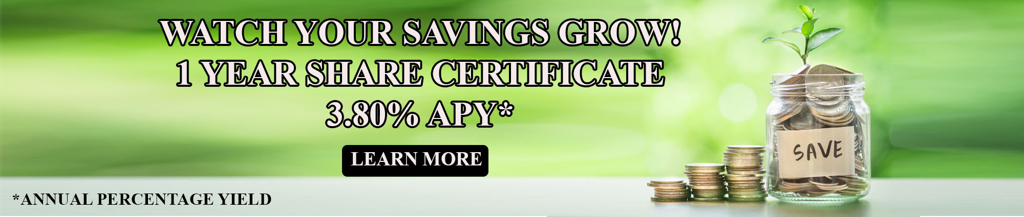 Watch your savings grow! One year share certificate 
three point eight zero percent APR* 
APR* equals annual percentage rate. Learn more 